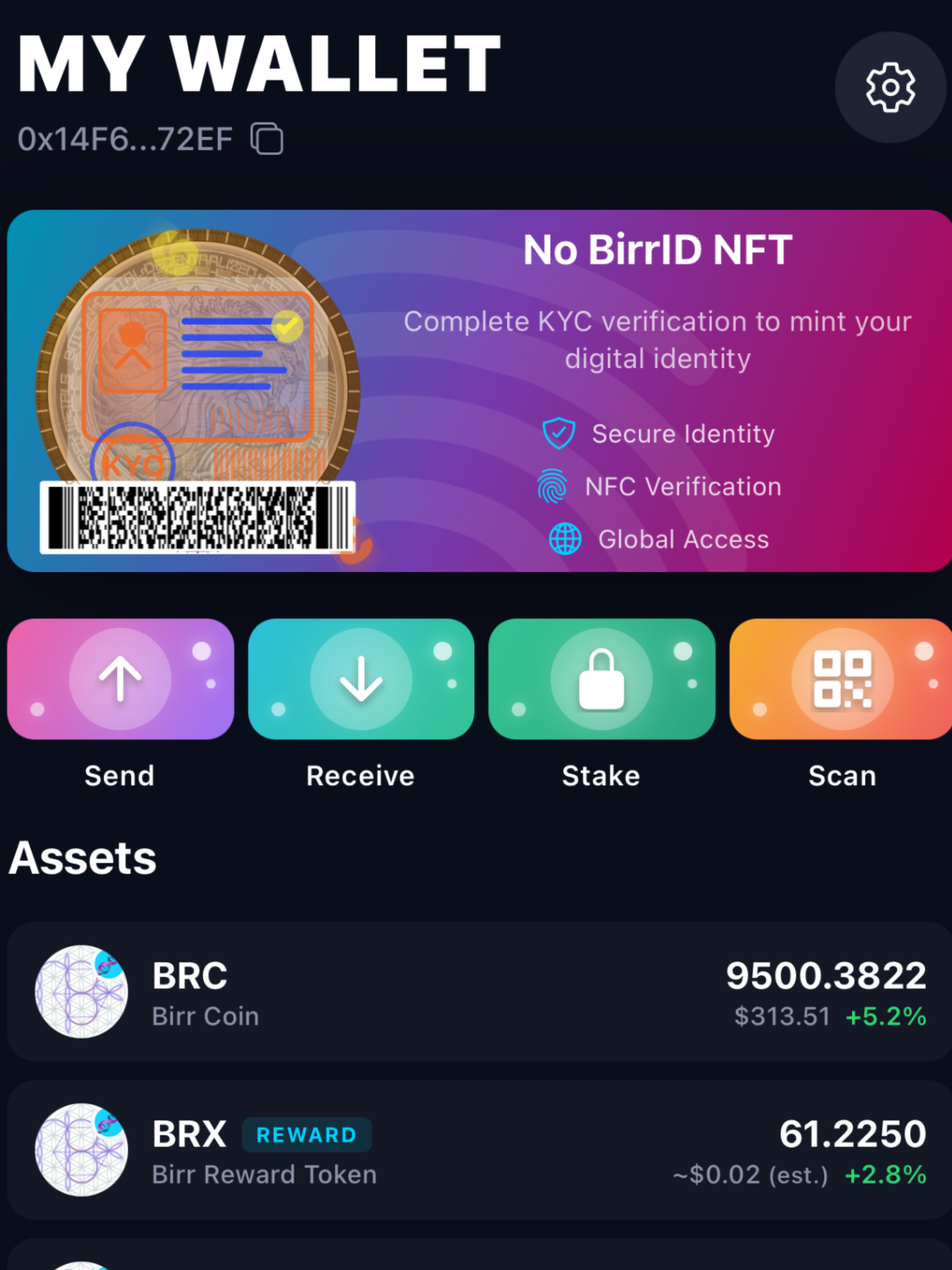 BirrNetwork screenshot 5