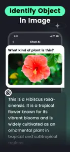 AI Chat -Ask Chatbot Assistant screenshot #5 for iPhone