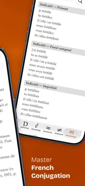 Dictionnaire screenshot 2
