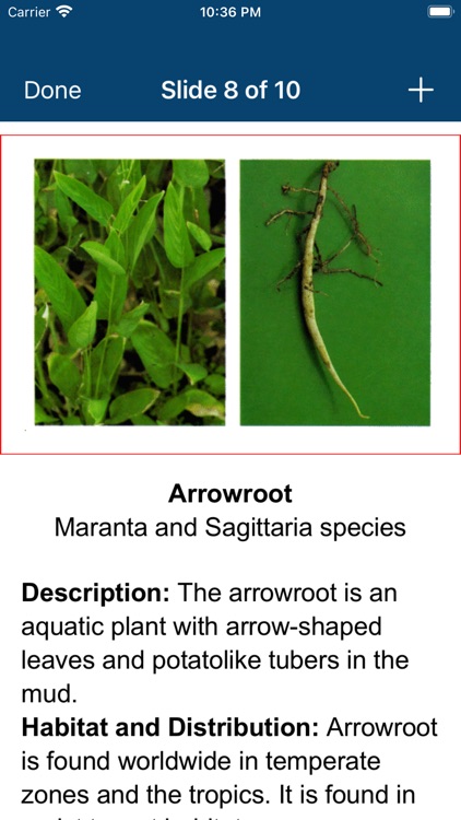 Survive! - Prepper Study Aids screenshot-5