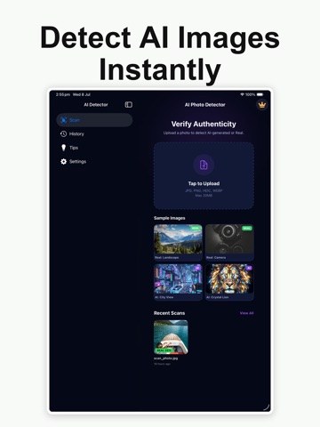 AI Photo Detector iPad screenshot