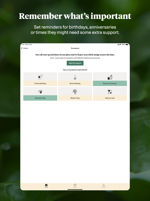 Bloom & Wild - Flowers & Gifts iPad screenshot 4 - Shopping app