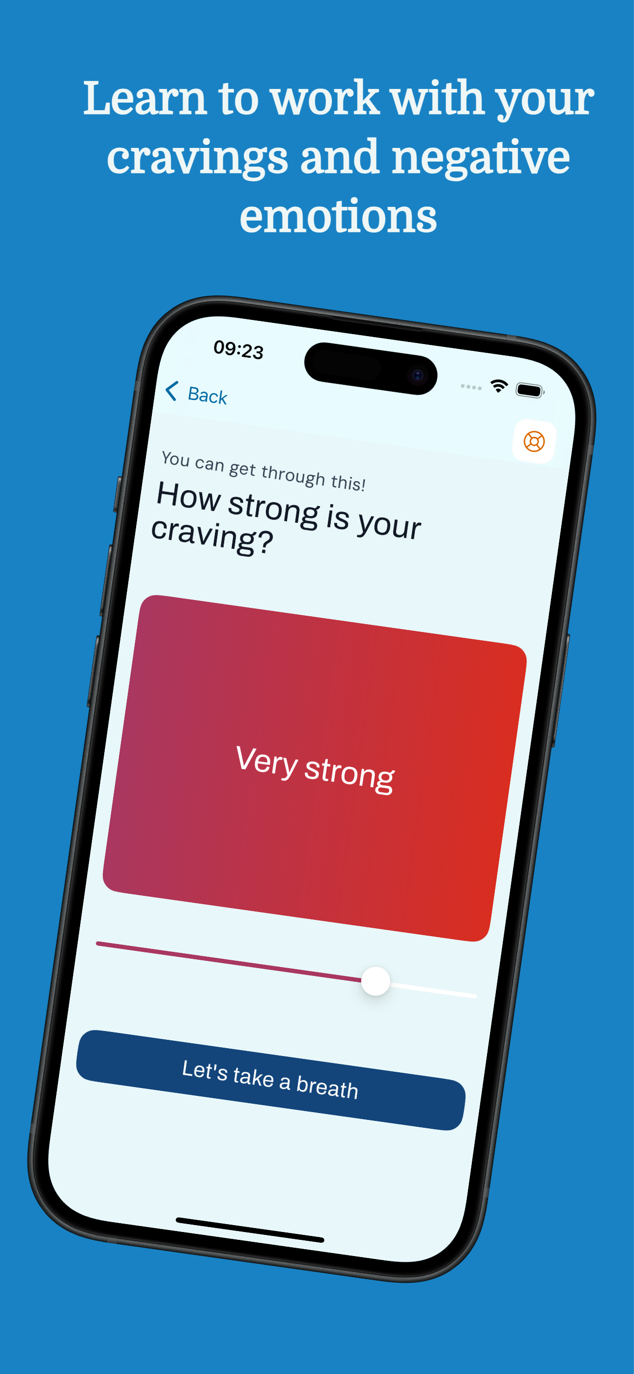 Mindshift Recovery screenshot 4