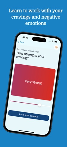 Mindshift Recovery iPhone screenshot