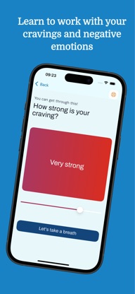 Mindshift Recovery screenshot 4