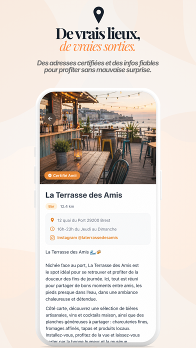 AMII screenshot 6