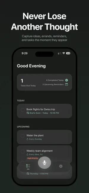 SpitAI - Voice Tasks screenshot 1