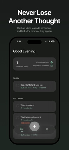 SpitAI - Voice Tasks Screenshot 1 of 5
