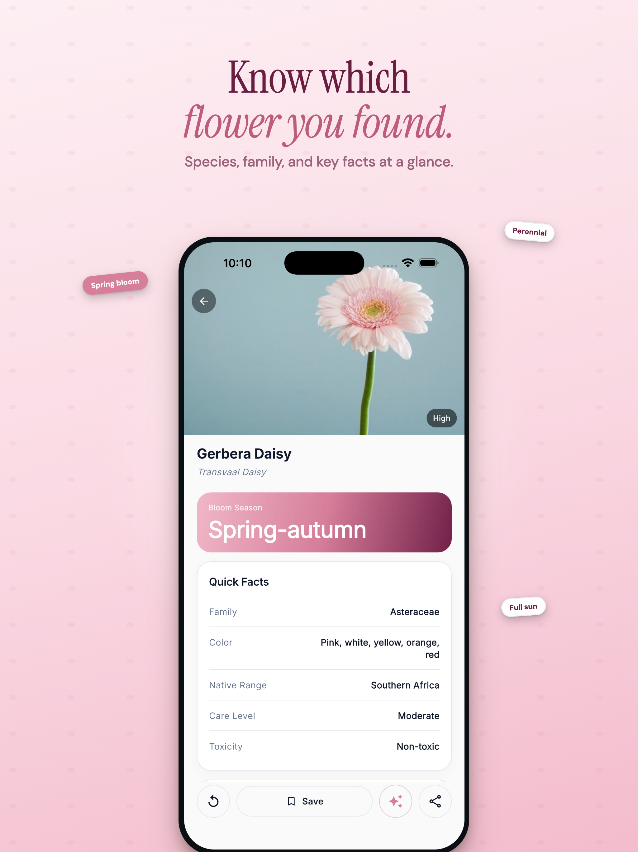 Flower Identifier: Bloom ID