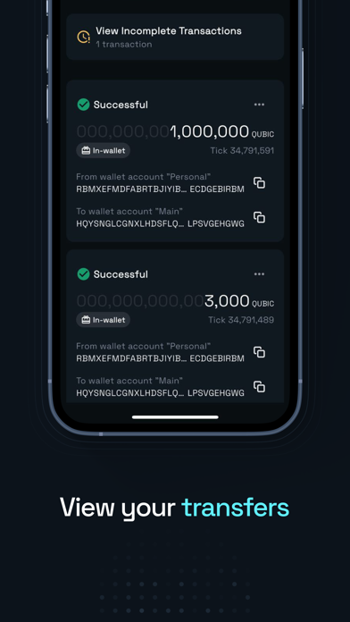 Qubic Wallet iPhone screenshot 4 - Finance app