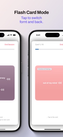 English Idioms: Flash Card screenshot