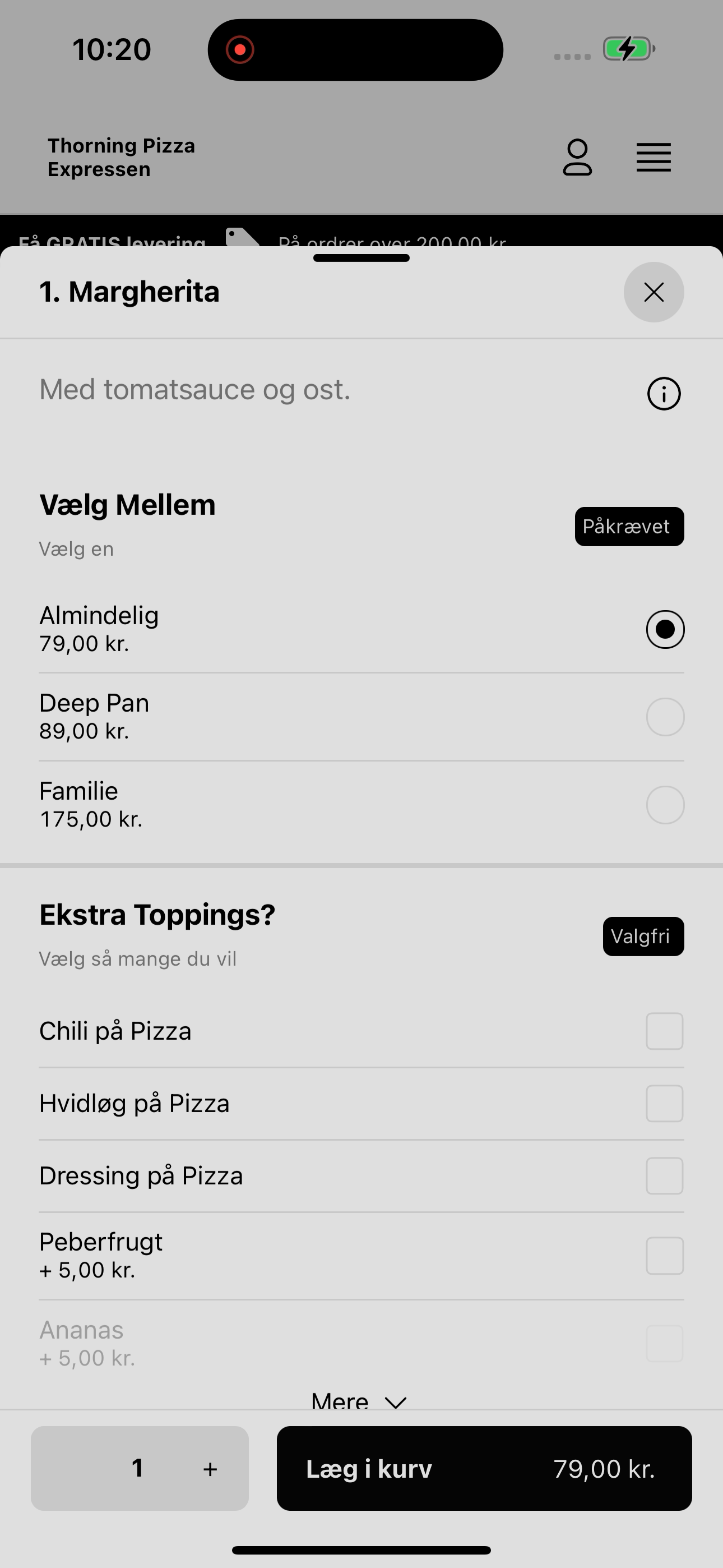 Thorning Pizza Expressen screenshot 8