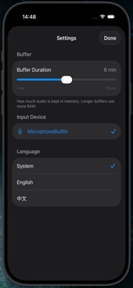 Loop Recording screenshot 2