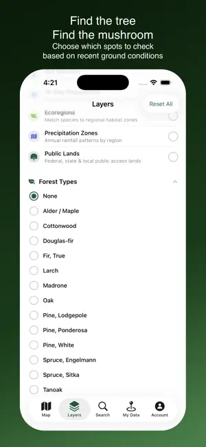 Forayz screenshot 3