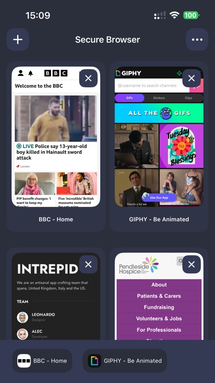 Loom - Web Ai Browser App