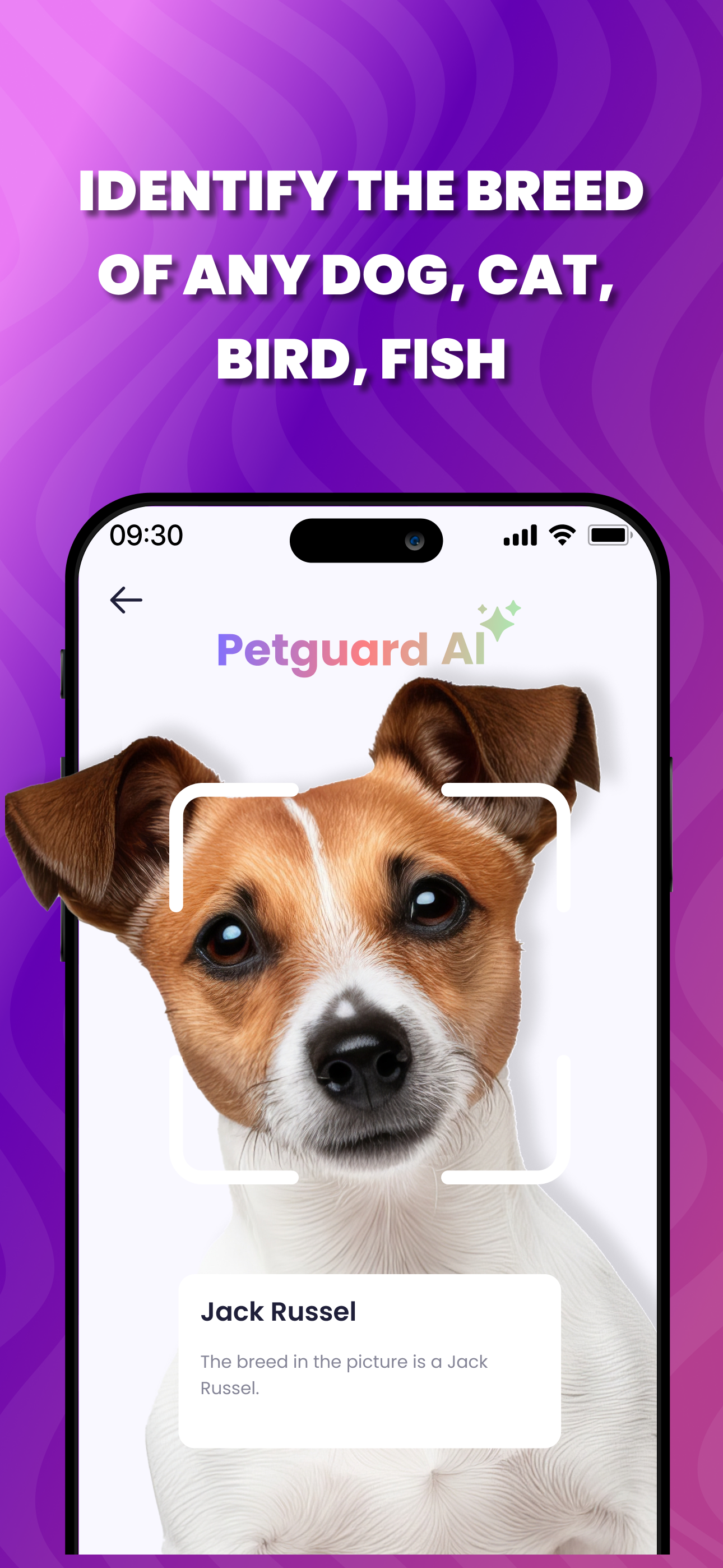 Petguard: AI Breed Identifier