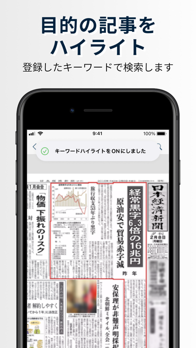 The NIKKEI Viewer Screenshot