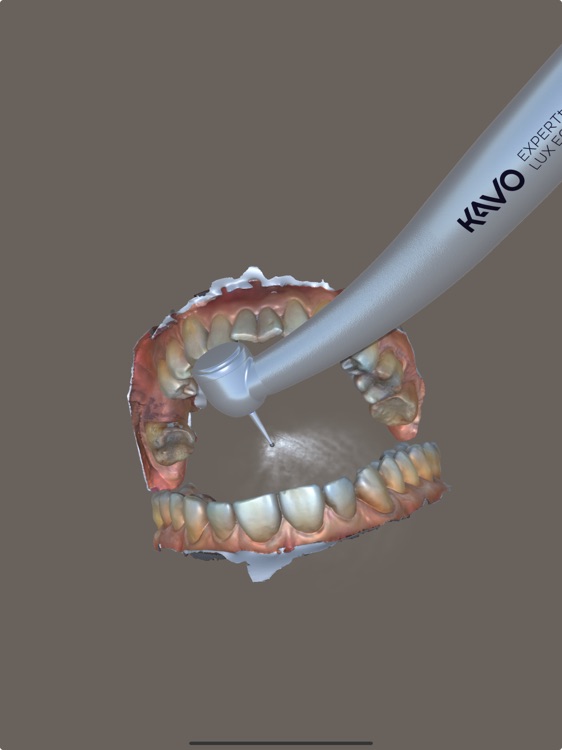 SIMtoCARE Dente Simulator