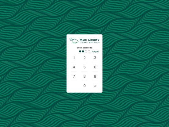 AGCU Banking iPad screenshot 2 - Finance app