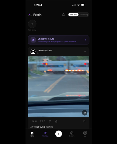 Felcin screenshot 17
