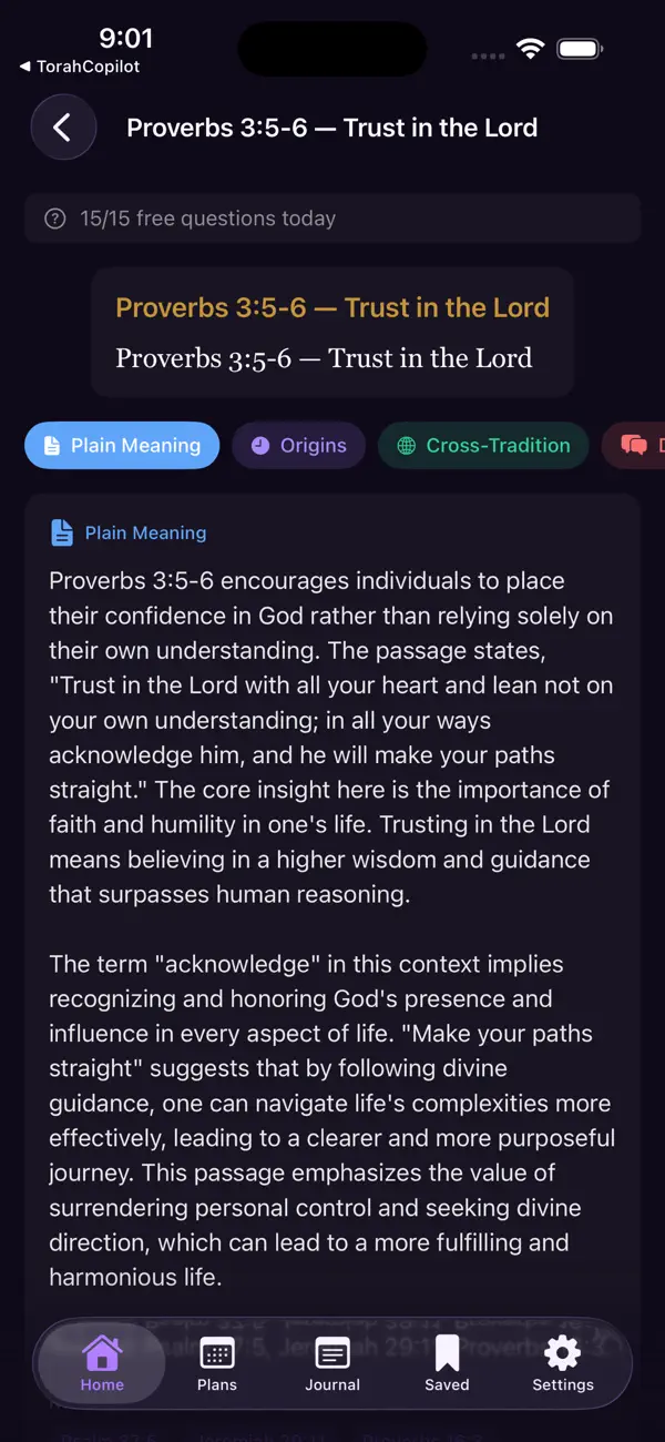 #2. Wisdom Copilot (iOS) By: Carlos Reyes