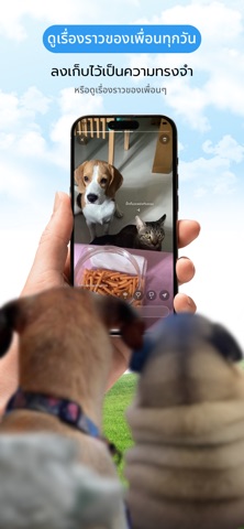 FriendShip screenshot