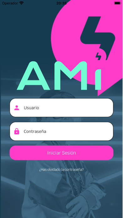 AMI Energia Screenshot