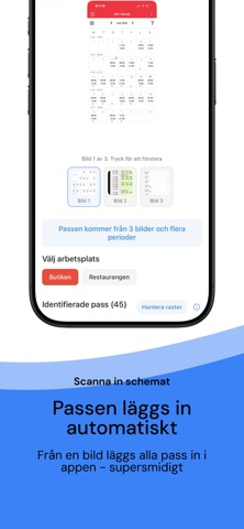 Lönesmart iPhone screenshot 2