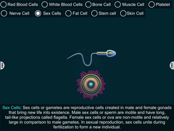 Human Body Cells - EduTech Era iPad screenshot