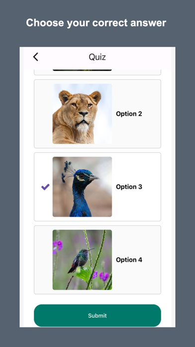 Fun Learning Quizzes for Kids Screenshot