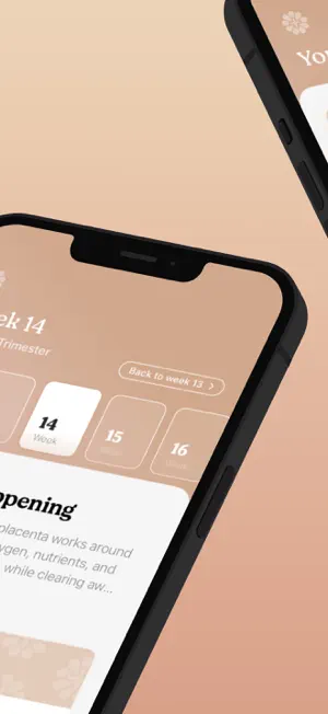 Nine+ Pregnancy Tracking screenshot 2