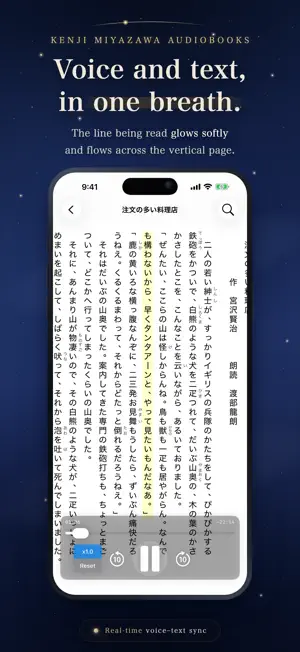 Kenji Miyazawa Audiobooks screenshot 3