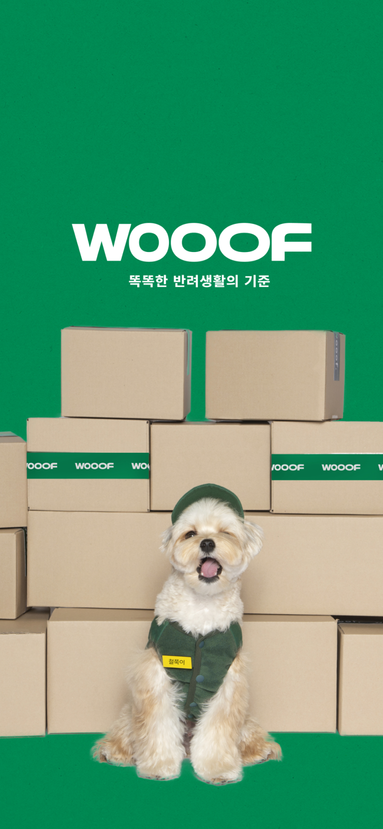 WOOOF(우프)