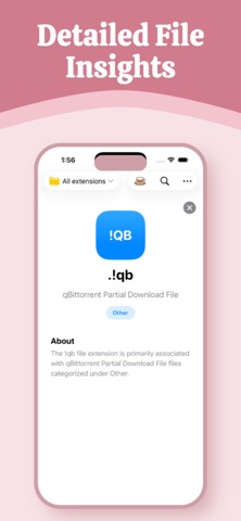 File Type Screenshot 6 of 6