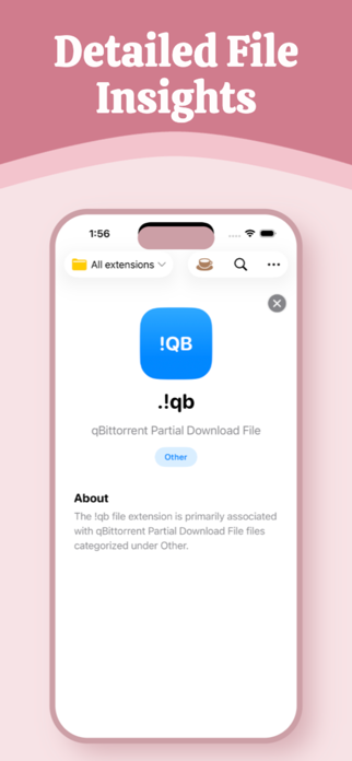 File Type Screenshot 6 of 6