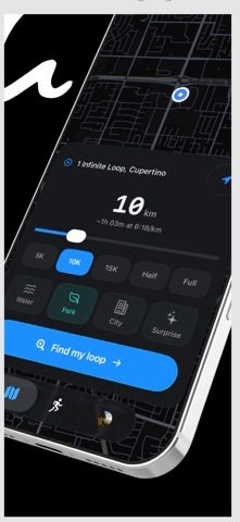 LoopRun iPhone screenshot