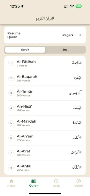 DeenPulse screenshot 3