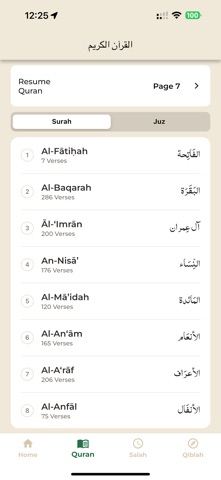 DeenPulse Screenshot 3 of 3
