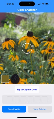 Color Snatcher iPhone screenshot