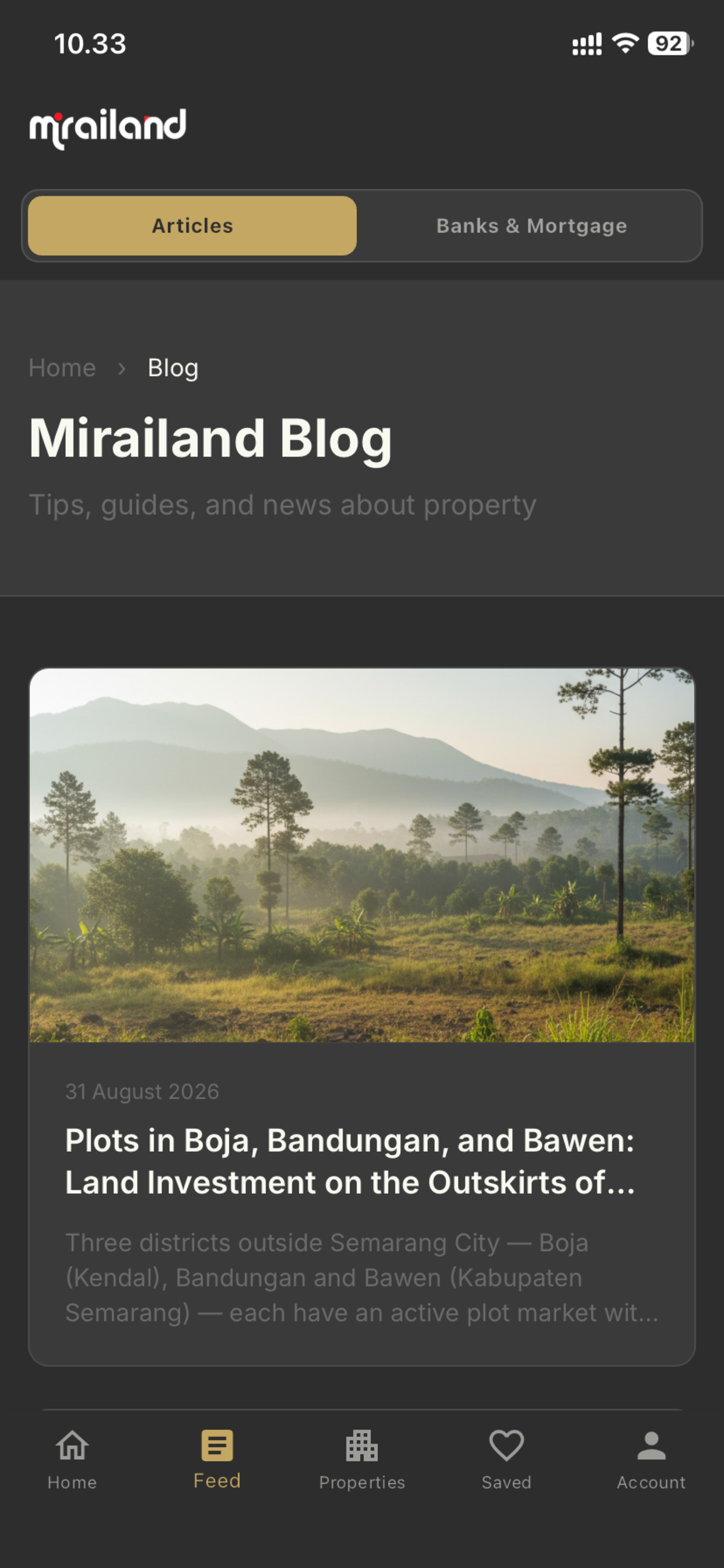 Mirailand screenshot 8