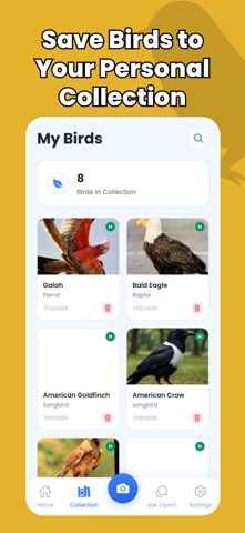 Bird Identifier - Birdify screenshot