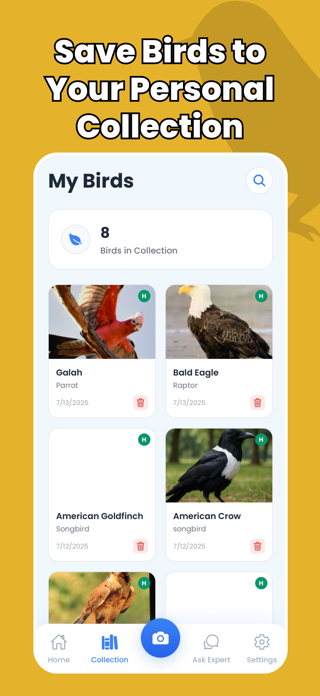 Bird Identifier - Birdify Screenshot 5 of 5