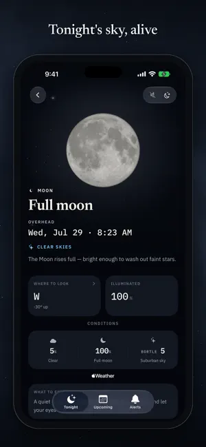 Overhead - Night Sky Scanner screenshot 4