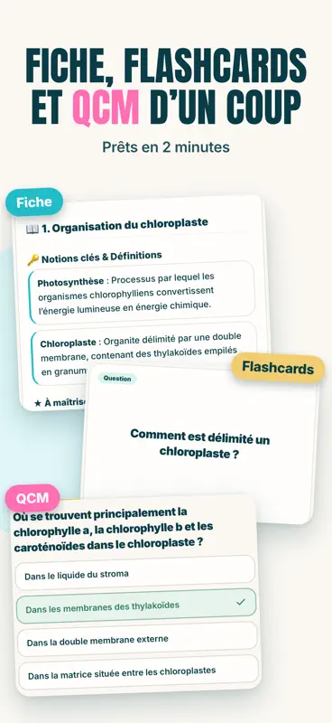 Revizly : fiches de révision screenshot 3 of 8