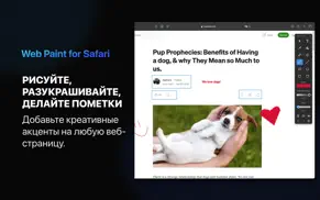 web paint for safari айфон картинки 1