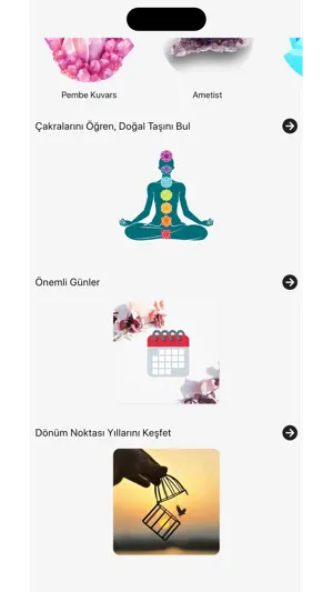 Numerology: Sayilarin Dili screenshot 4