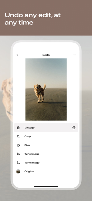 ‎Snapseed: Photo Editor Screenshot