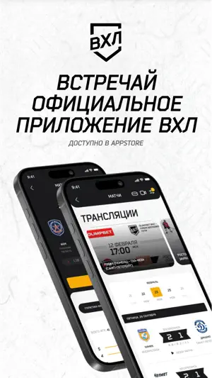 ВХЛ screenshot 1