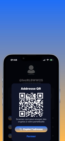 LVC Pay screenshot