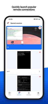 Remote Desktop Manager screenshot 4